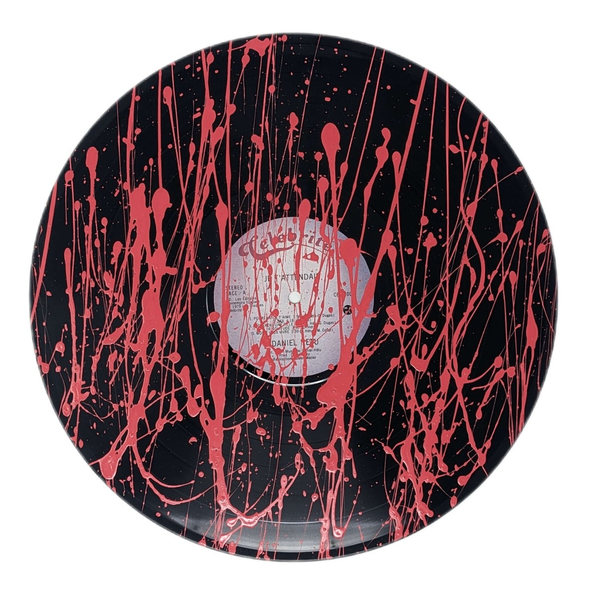 Vinyl record - Painted