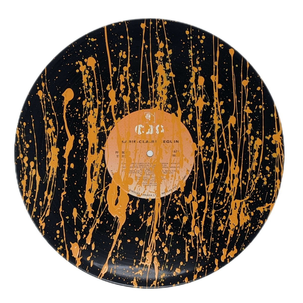 Vinyl record - Painted